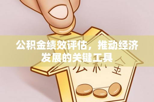 竹田公积金绩效评估，推动经济发展的关键工具