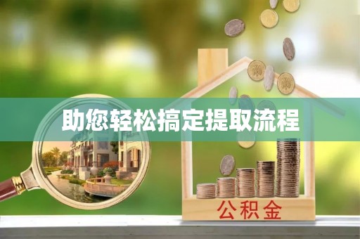 竹田助您轻松搞定提取流程