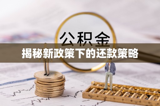 竹田揭秘新政策下的还款策略