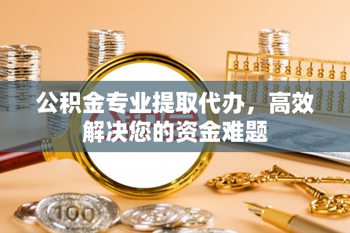 竹田公积金专业提取代办，高效解决您的资金难题