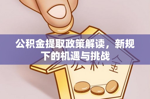 竹田公积金提取政策解读，新规下的机遇与挑战