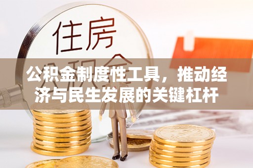 竹田公积金制度性工具，推动经济与民生发展的关键杠杆