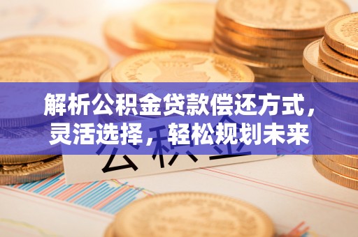 竹田解析公积金贷款偿还方式，灵活选择，轻松规划未来