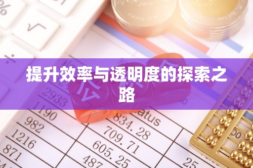 竹田提升效率与透明度的探索之路