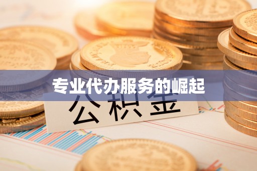 竹田专业代办服务的崛起