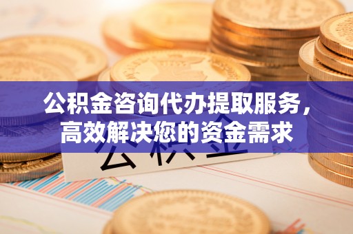 竹田公积金咨询代办提取服务，高效解决您的资金需求