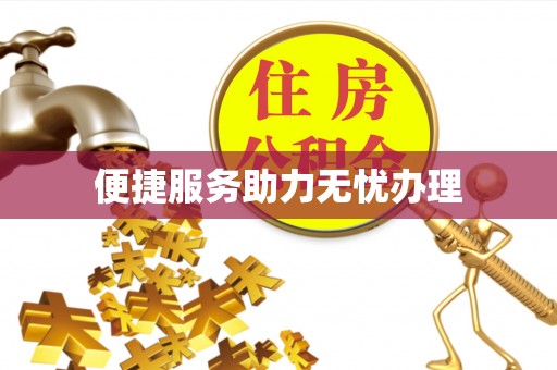 竹田便捷服务助力无忧办理