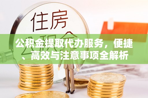 竹田公积金提取代办服务，便捷、高效与注意事项全解析