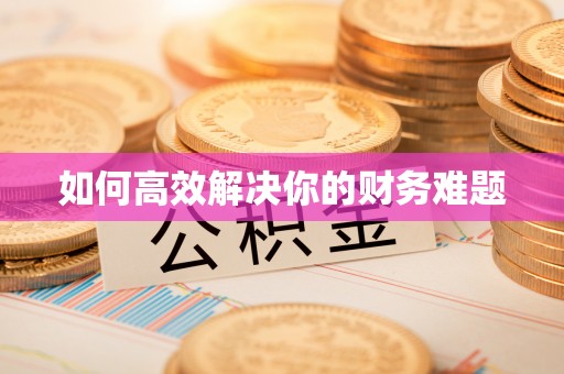 竹田如何高效解决你的财务难题