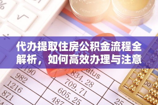 竹田代办提取住房公积金流程全解析，如何高效办理与注意事项