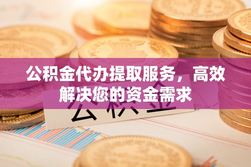 竹田公积金代办提取服务，高效解决您的资金需求