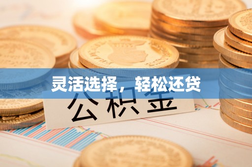 竹田灵活选择，轻松还贷