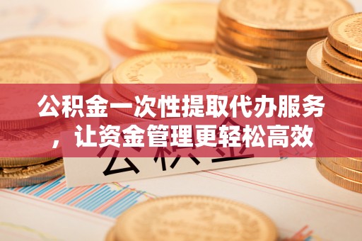 竹田公积金一次性提取代办服务，让资金管理更轻松高效
