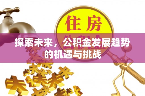 竹田探索未来，公积金发展趋势的机遇与挑战