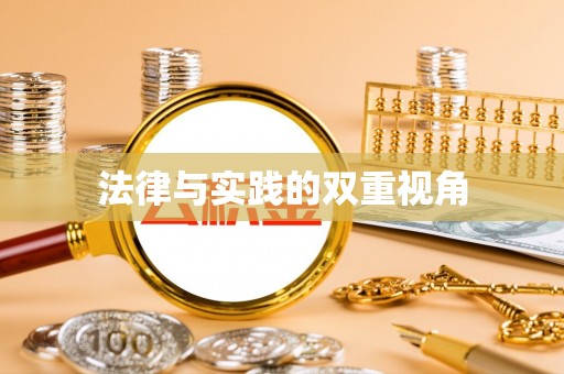 竹田法律与实践的双重视角