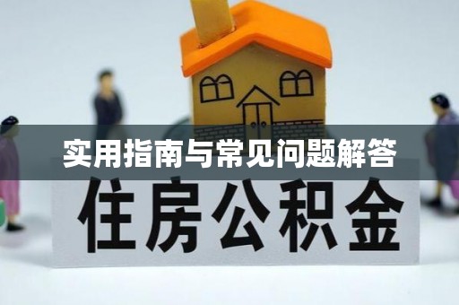 竹田实用指南与常见问题解答
