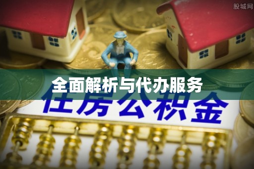 竹田全面解析与代办服务