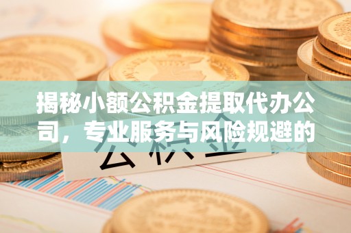 竹田揭秘小额公积金提取代办公司，专业服务与风险规避的平衡艺术