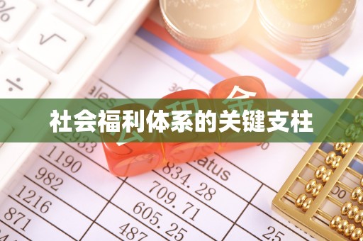 竹田社会福利体系的关键支柱