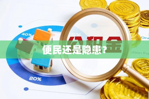 竹田便民还是隐患？