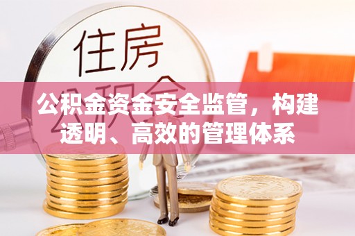 竹田公积金资金安全监管，构建透明、高效的管理体系