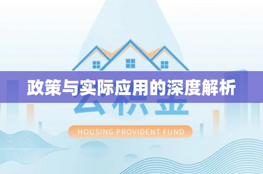 竹田政策与实际应用的深度解析