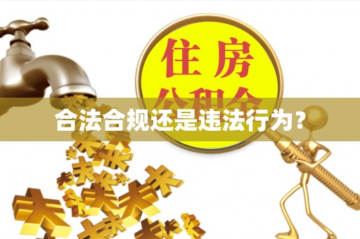 竹田合法合规还是违法行为？