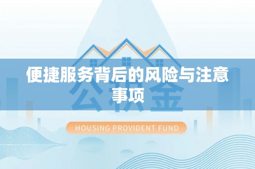 竹田便捷服务背后的风险与注意事项