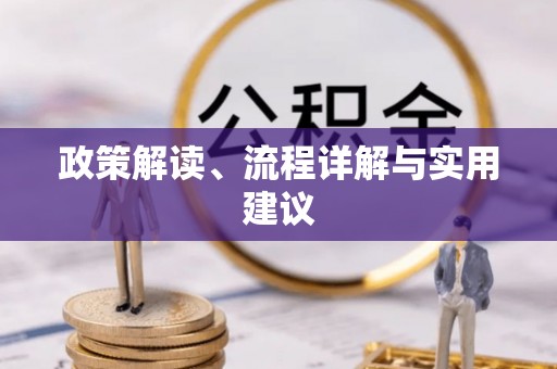 竹田政策解读、流程详解与实用建议