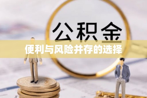 竹田便利与风险并存的选择